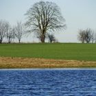 Farbenfrohe Landschaft