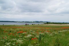 Farbenfrohe Landschaft