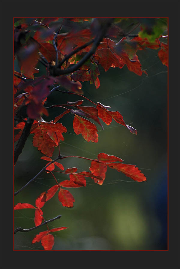 Farbenfrohe Lichtblicke