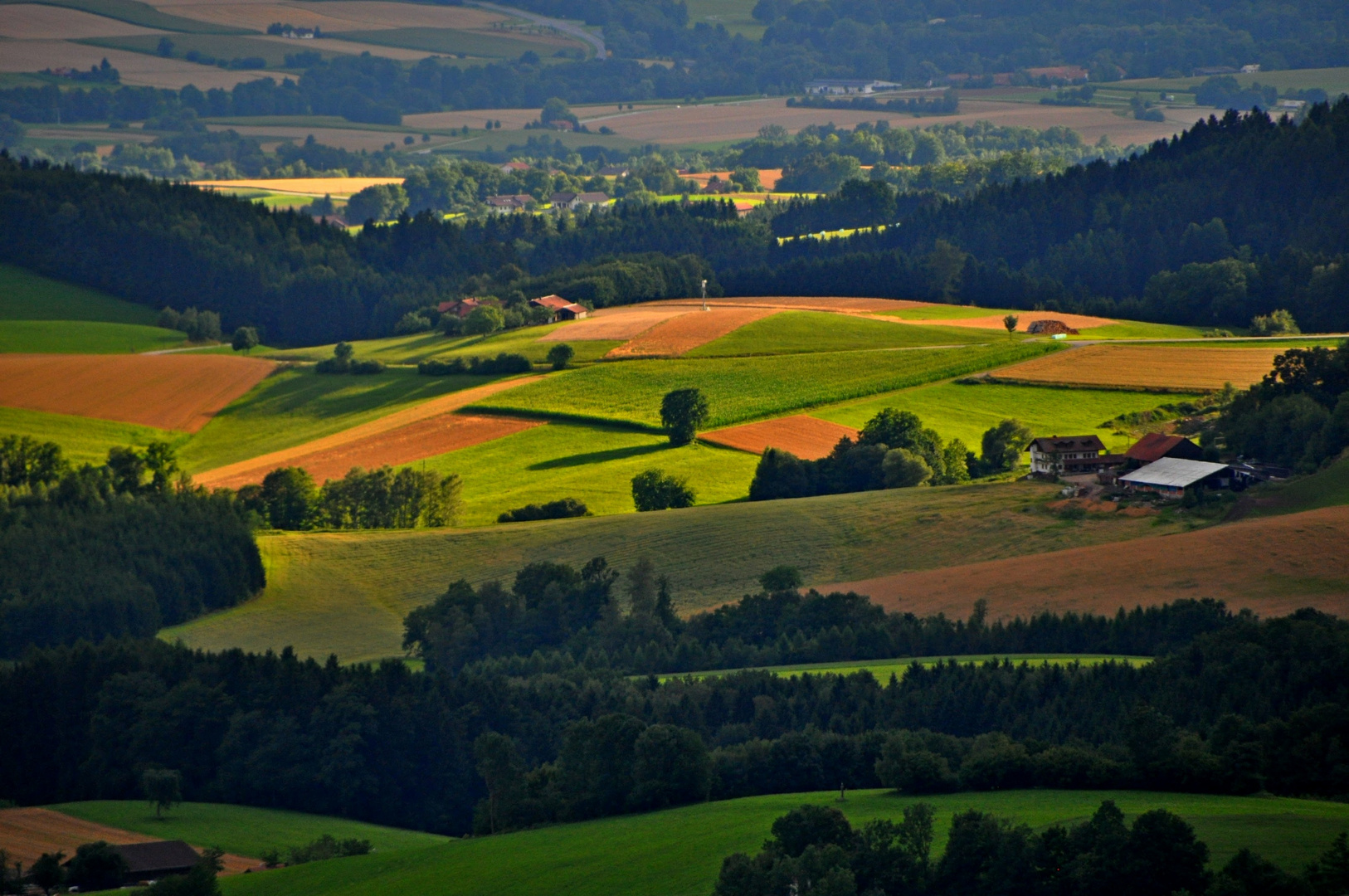 Farbenfrohe Natur