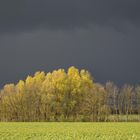 farbenfrohe Ostern - zum Dritten...