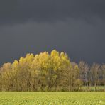 farbenfrohe Ostern - zum Dritten...