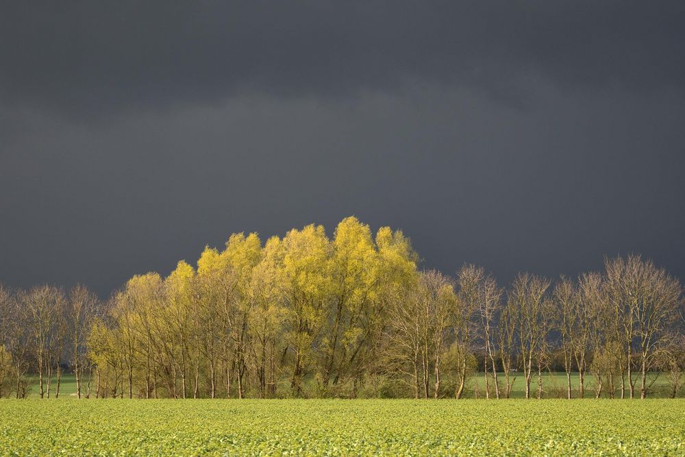 farbenfrohe Ostern - zum Dritten...