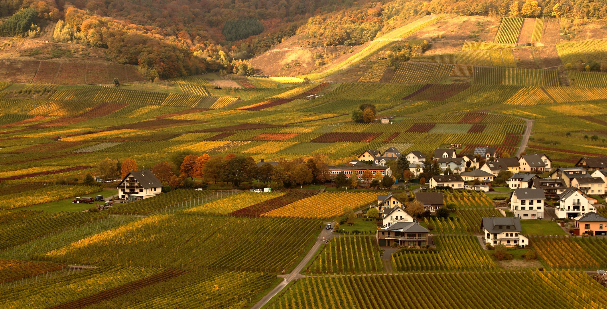 farbenfrohe Weinlandschaft