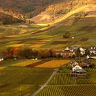 farbenfrohe Weinlandschaft