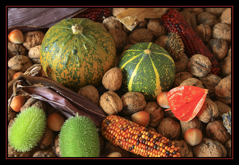 farbenfrohen Herbstfrüchte