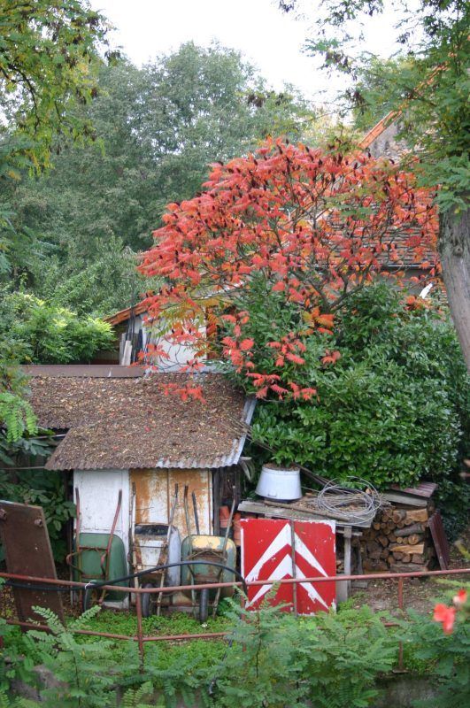 Farbenfroher französischer Hinterhof