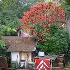 Farbenfroher französischer Hinterhof