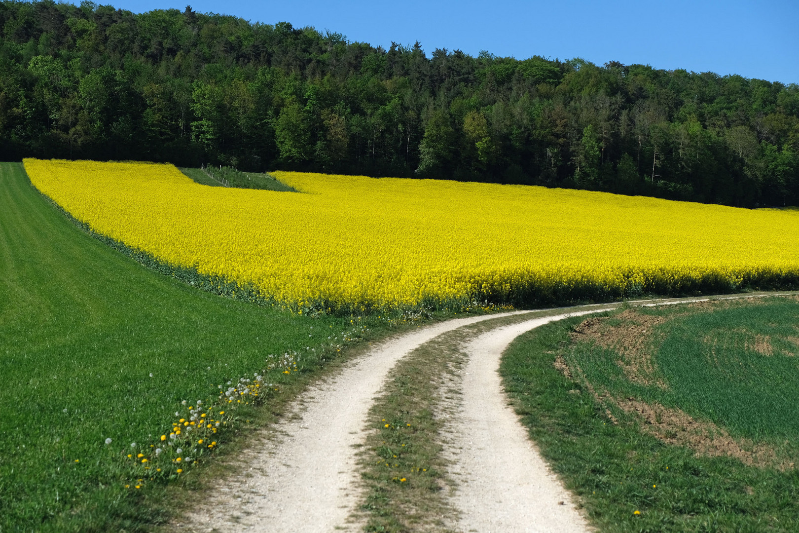 Farbenfroher Frühling