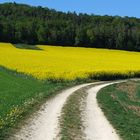 Farbenfroher Frühling