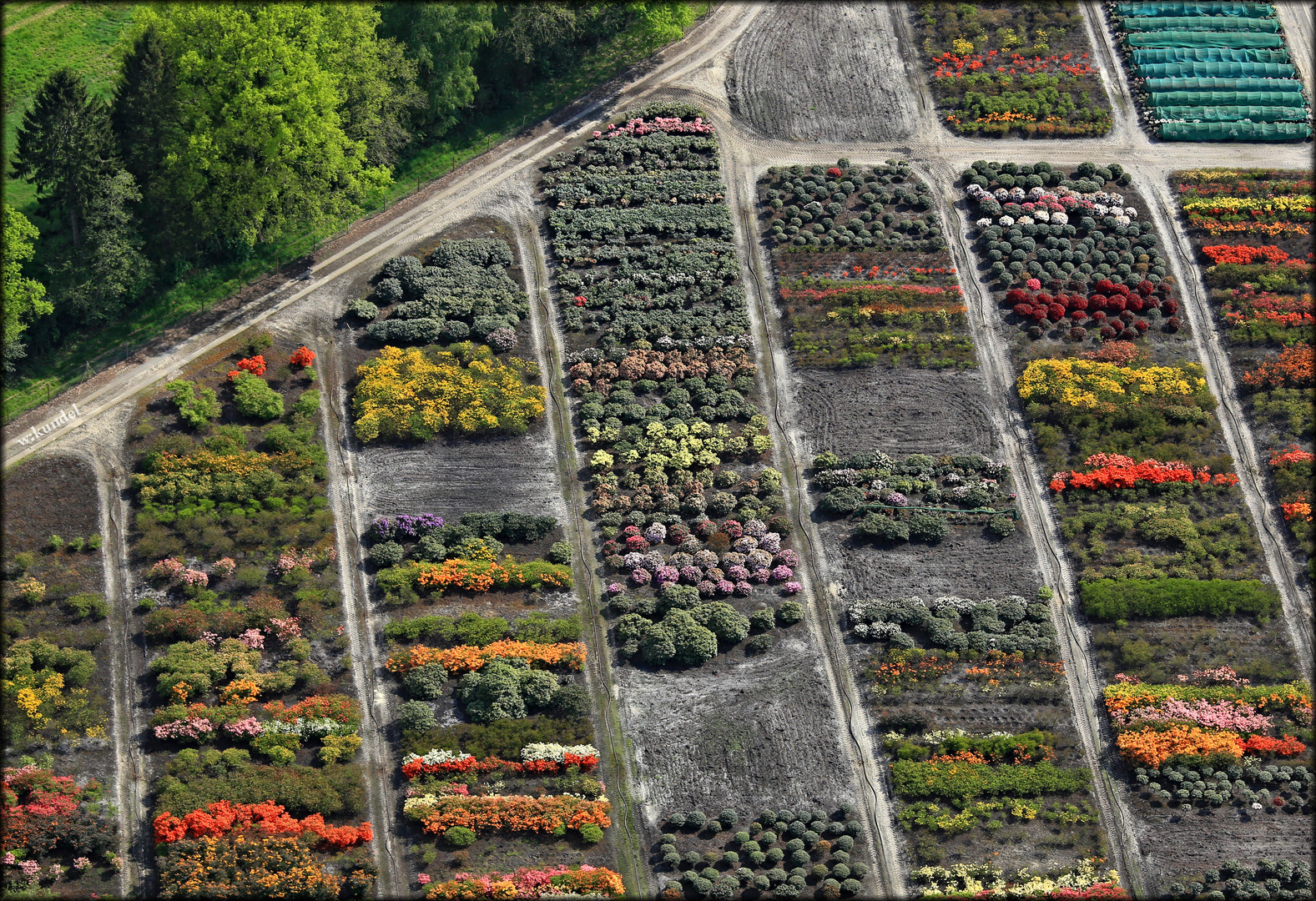 Farbenfroher Gartenbau