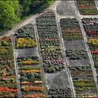 Farbenfroher Gartenbau