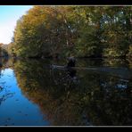 Farbenfroher Herbst 1...