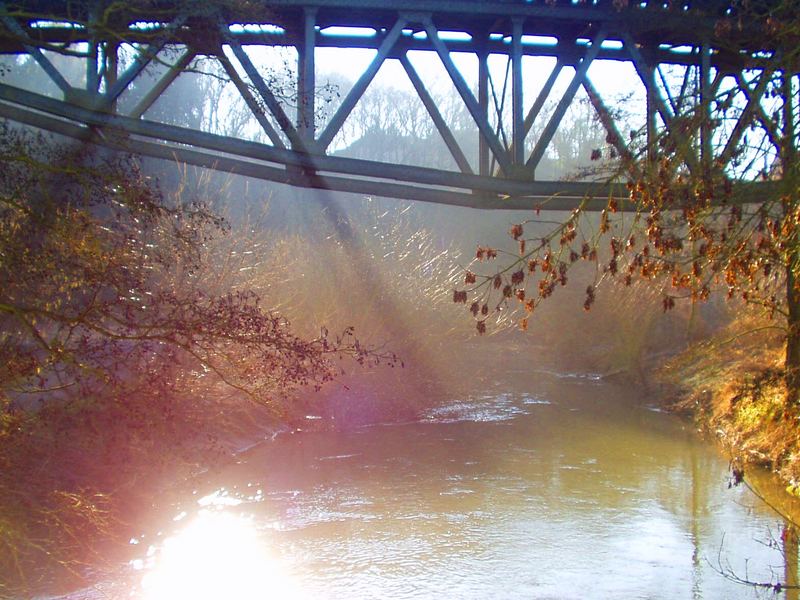 Farbenfroher Herbst