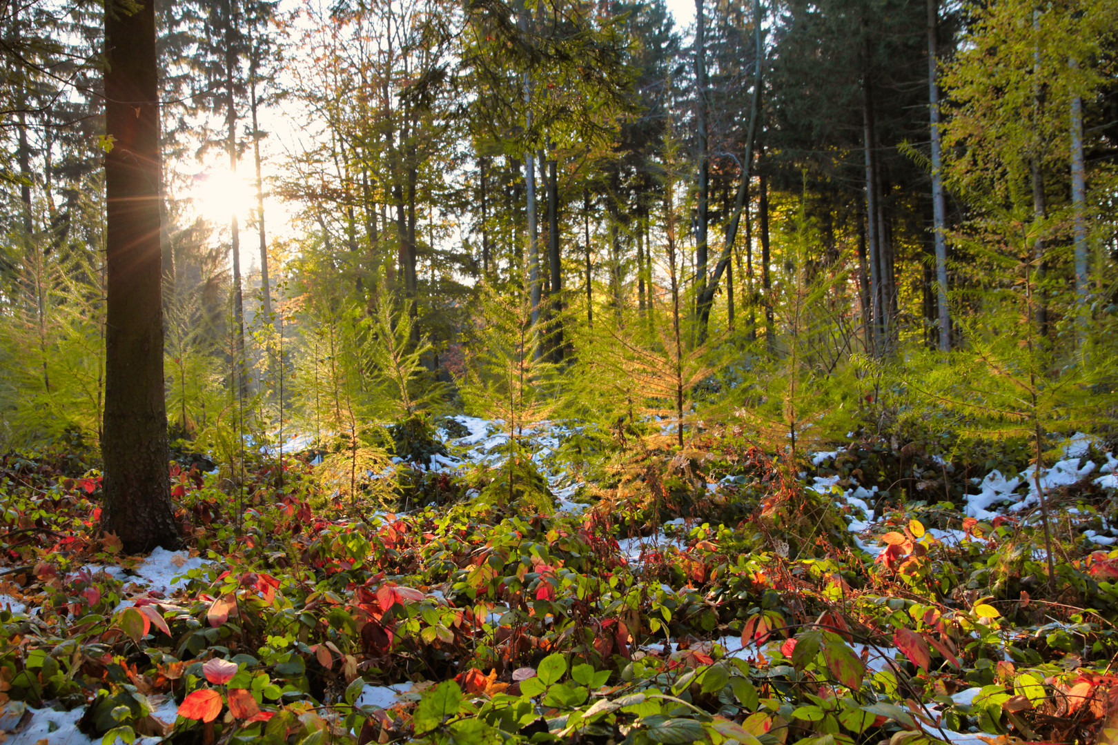 Farbenfroher Herbst