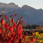 farbenfroher Herbst