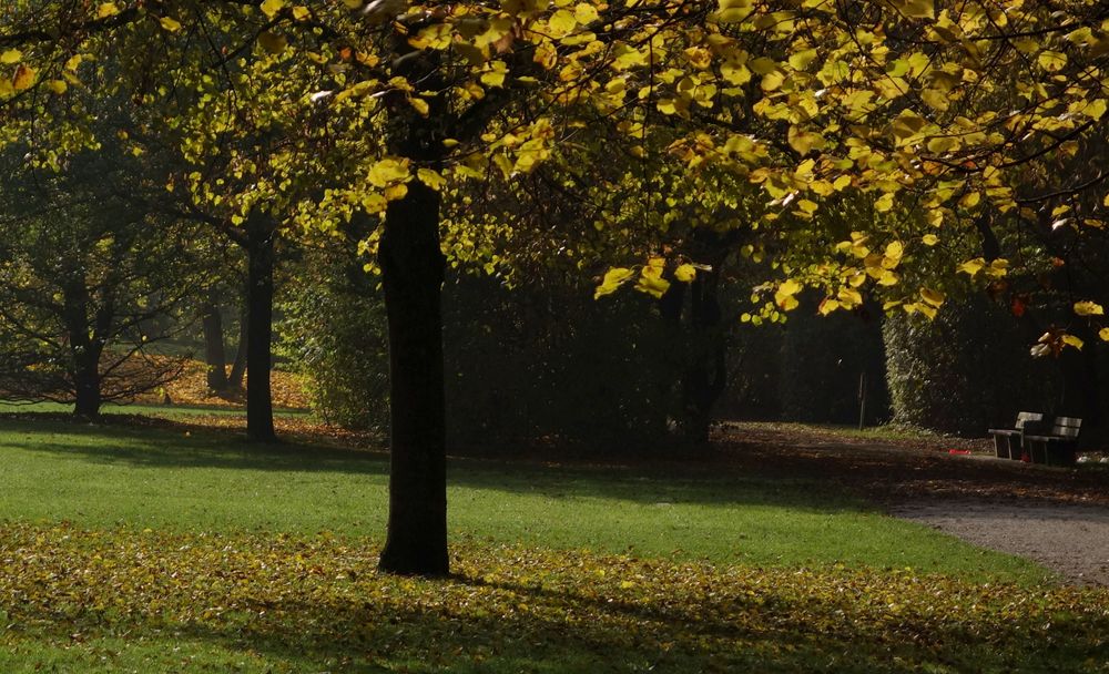 farbenfroher Herbst