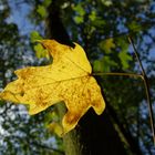 farbenfroher Herbst