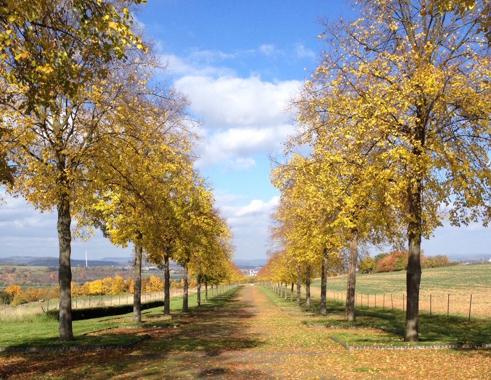 Farbenfroher Herbst