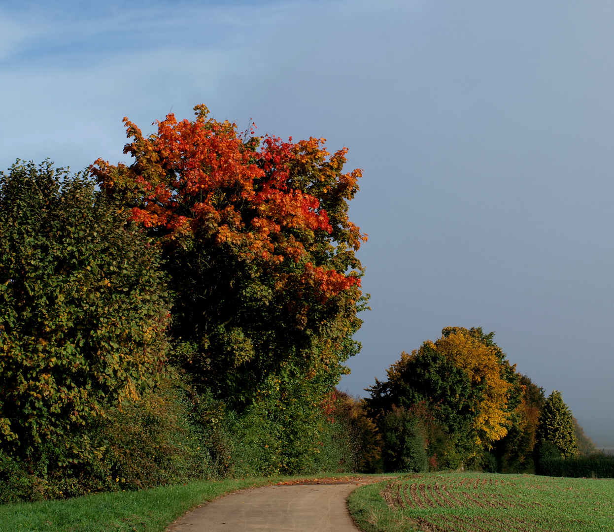 Farbenfroher Herbst