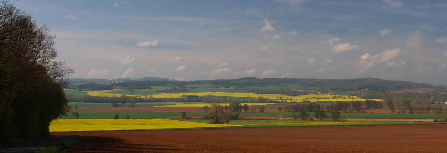 Farbenfroher Mai in der Eifel