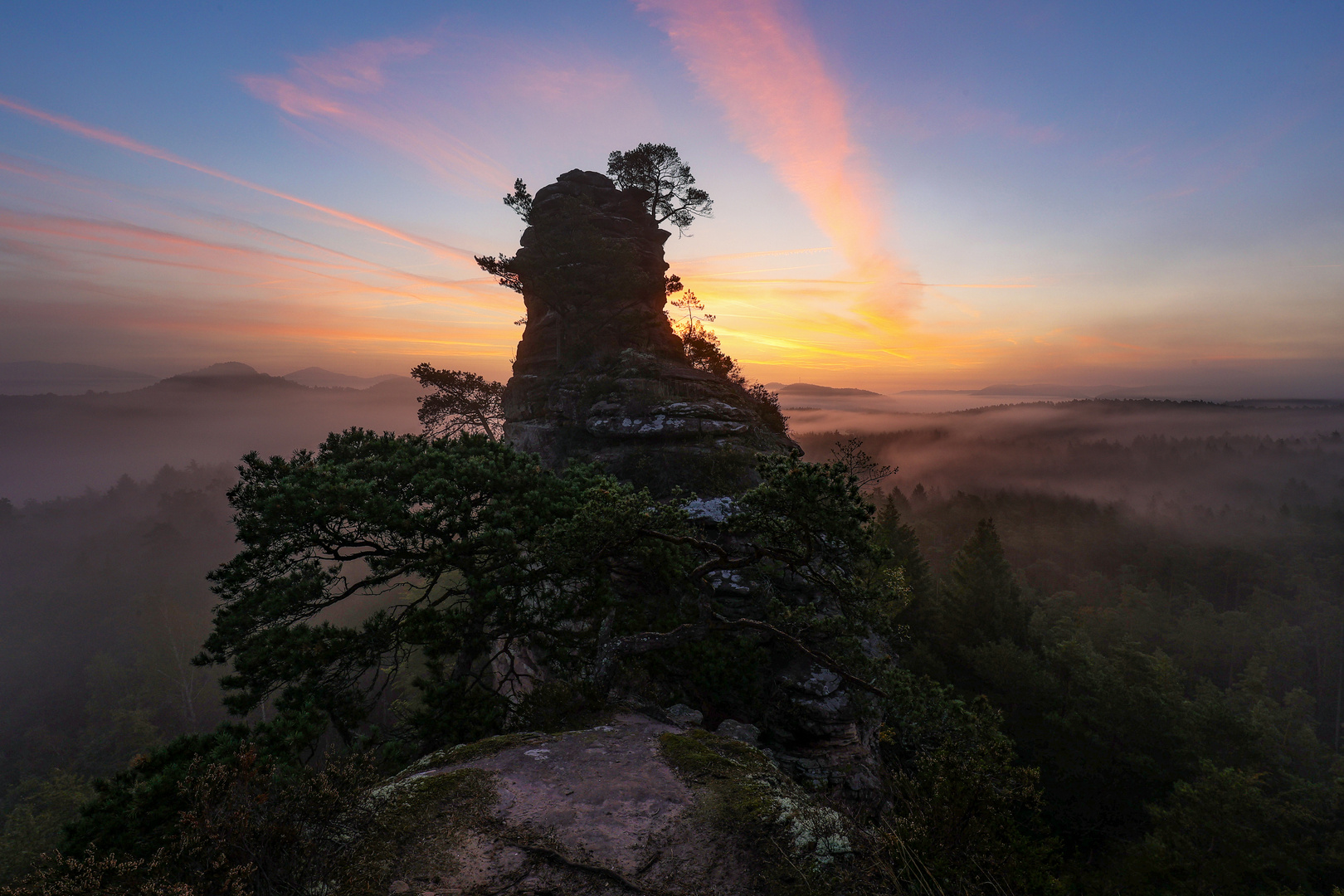 Farbenfroher Morgen im Pfälzerwald