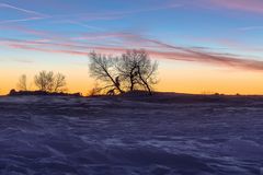 Farbenfroher Morgengruß