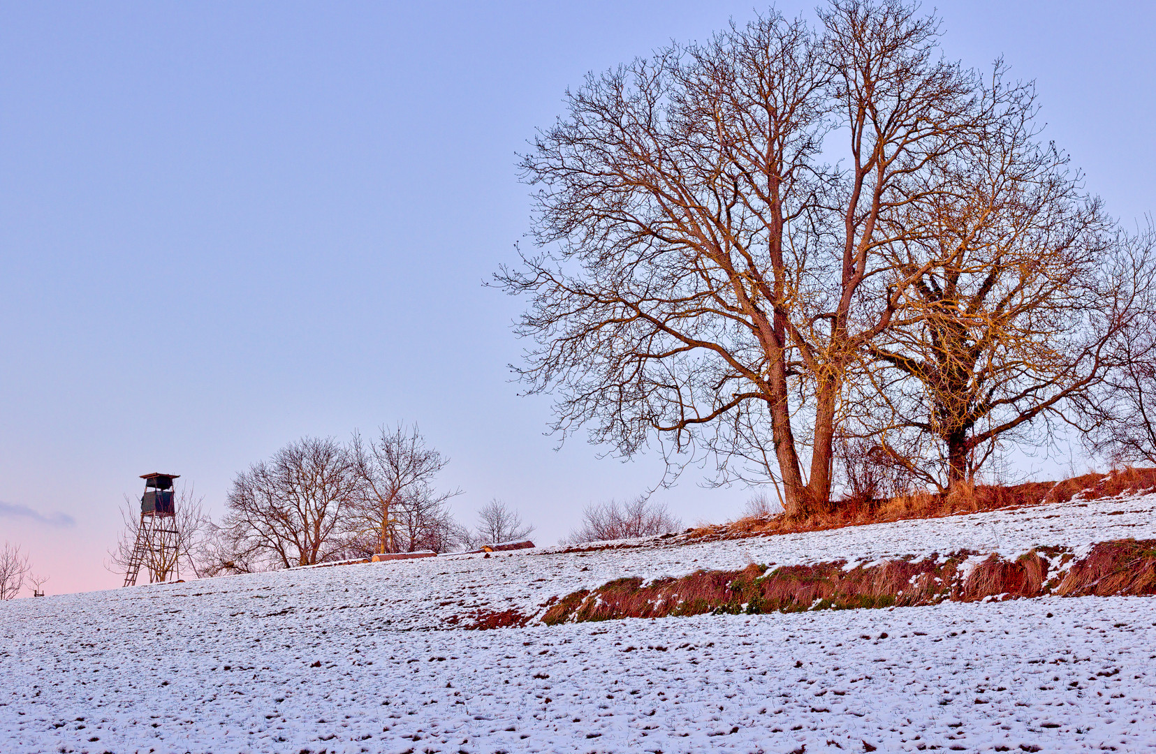 farbenfroher Schnee 83