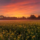 Farbenfroher Sonnenaufgang