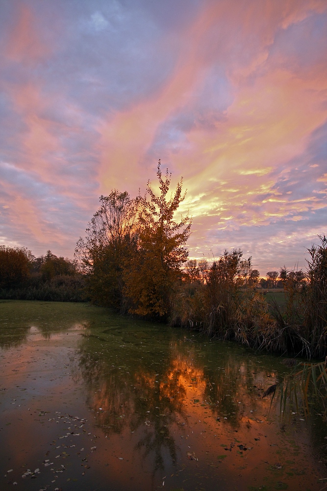 Farbenfroher Sonnenuntergang