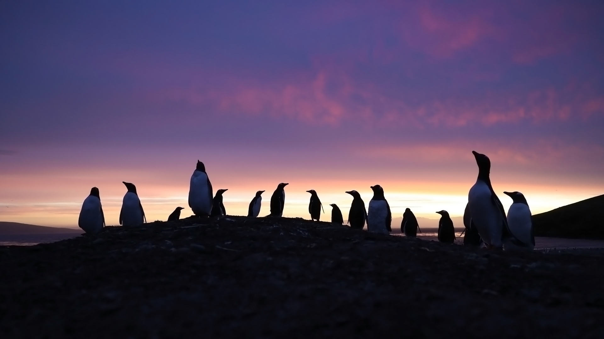 Farbenfroher Sonnenuntergang