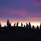 Farbenfroher Sonnenuntergang