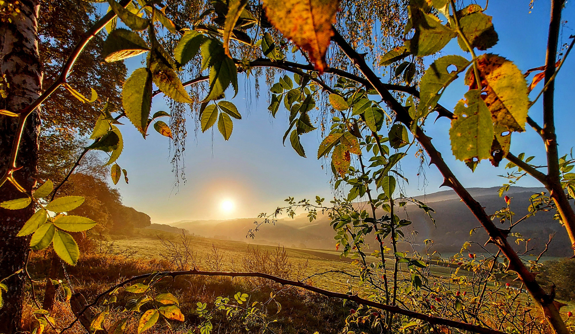 Farbenfroher, sonniger Herbstmorgen