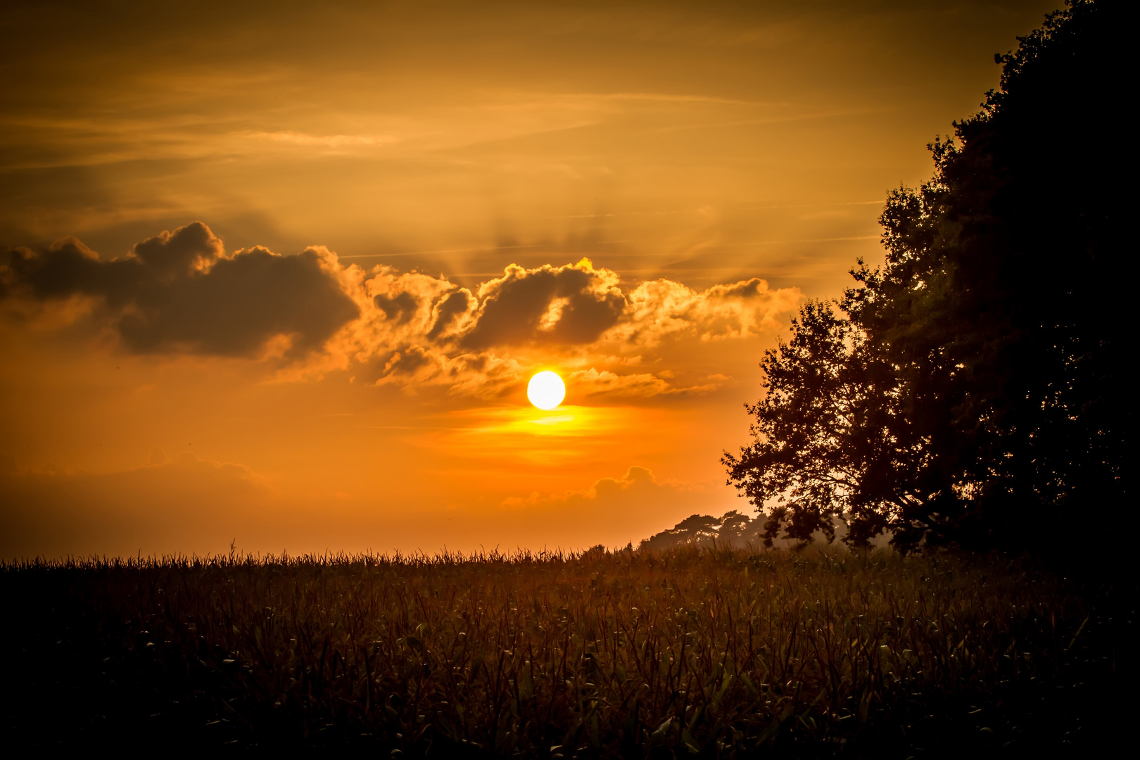 "Farbenfroher Tages - Abschied"