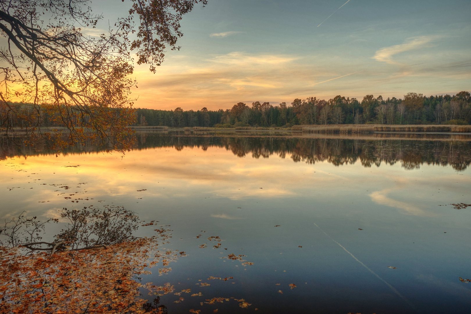 Farbenfroher Teich