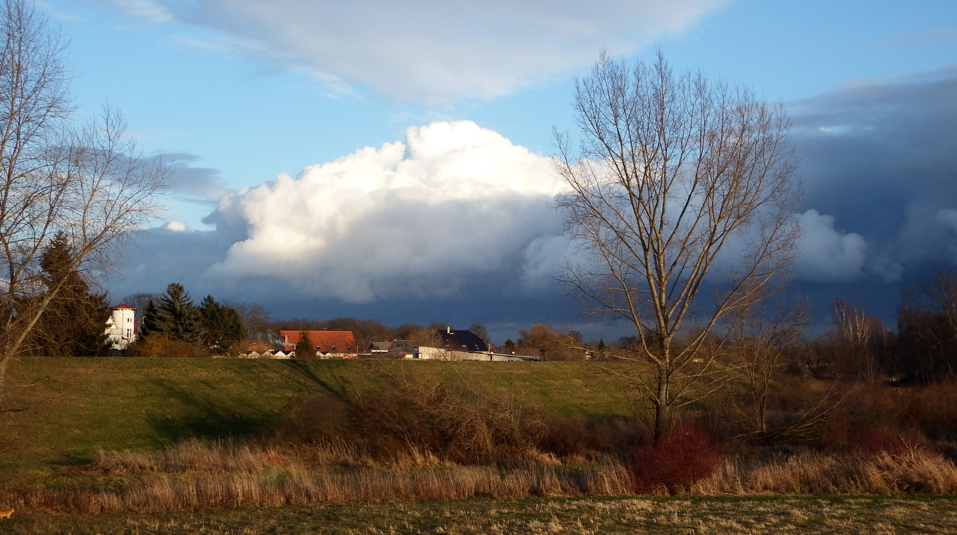 farbenfroher Wintertag