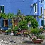 Farbenfrohes Burano - Venedigs schönste Schwester -