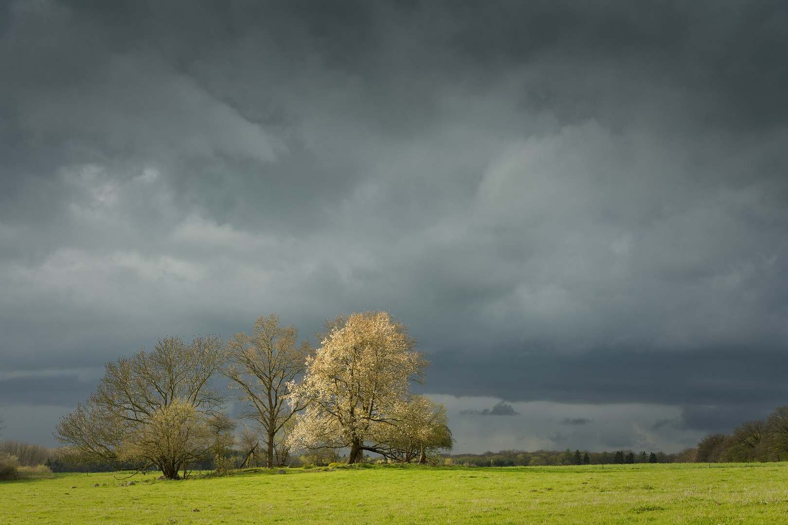 farbenfrohes Osterwetter...