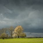 farbenfrohes Osterwetter...