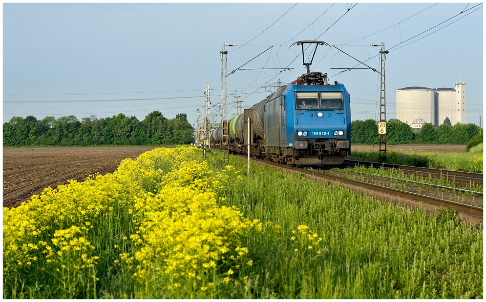 Farbenfrohes Rheintal