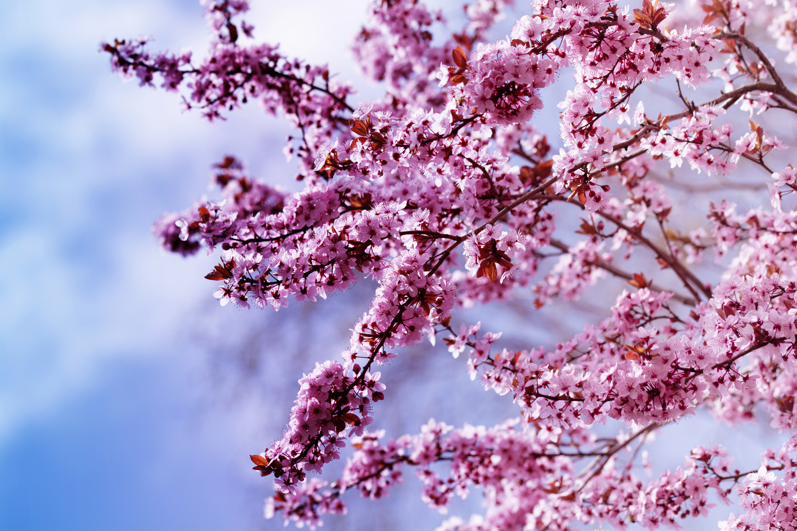 Farbenfrühling