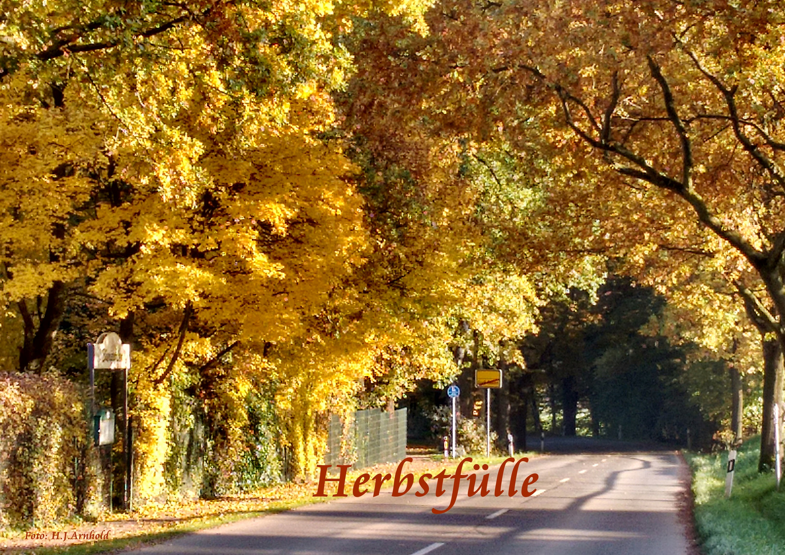 Farbenfülle im Herbst