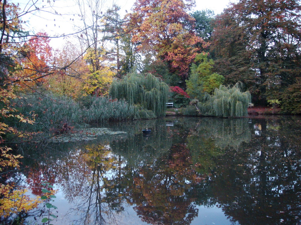 Farbenharmonie eines ganz normalen Herbsttages in Marburg