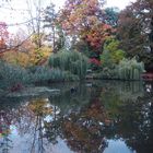 Farbenharmonie eines ganz normalen Herbsttages in Marburg