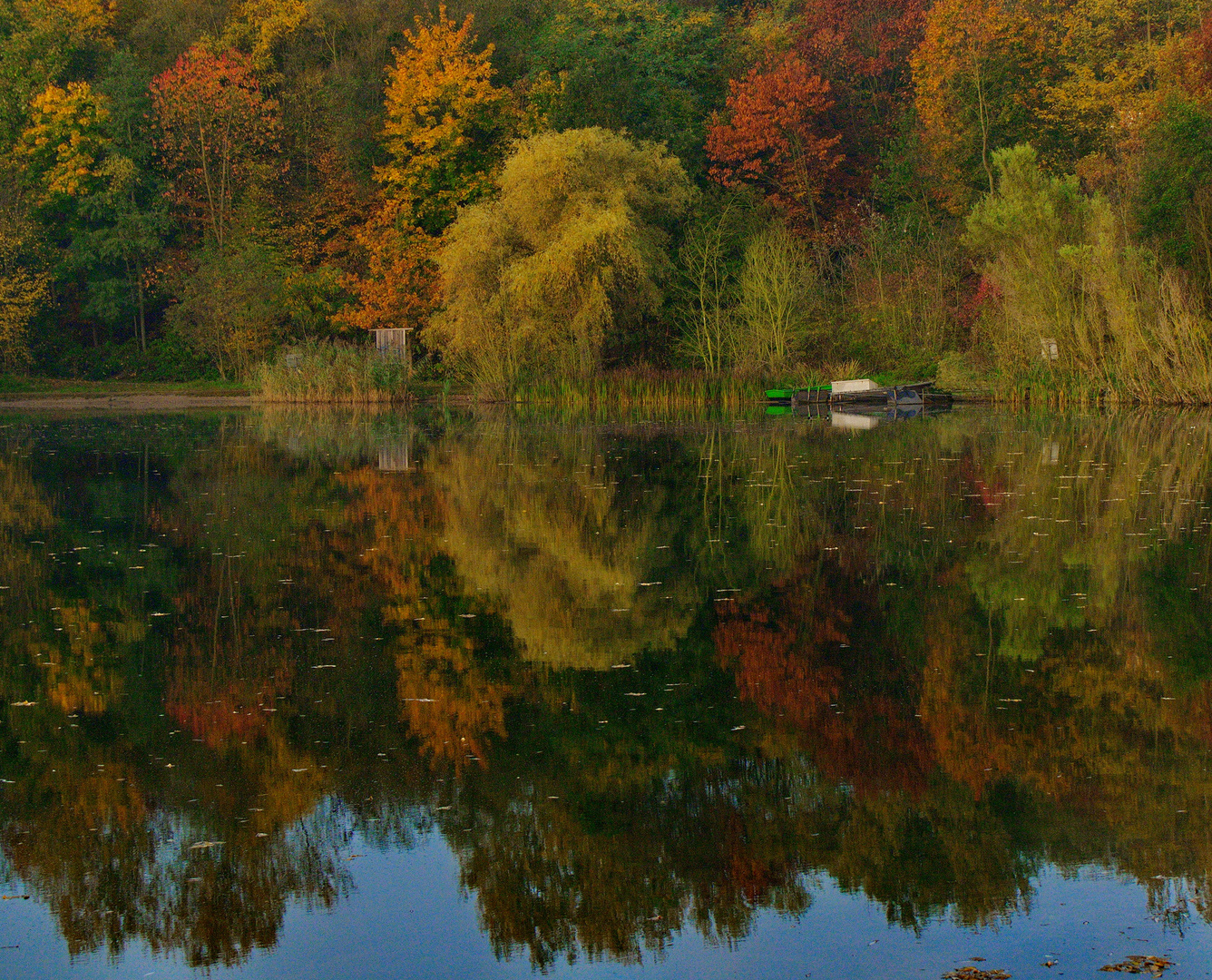 farbenHERBST