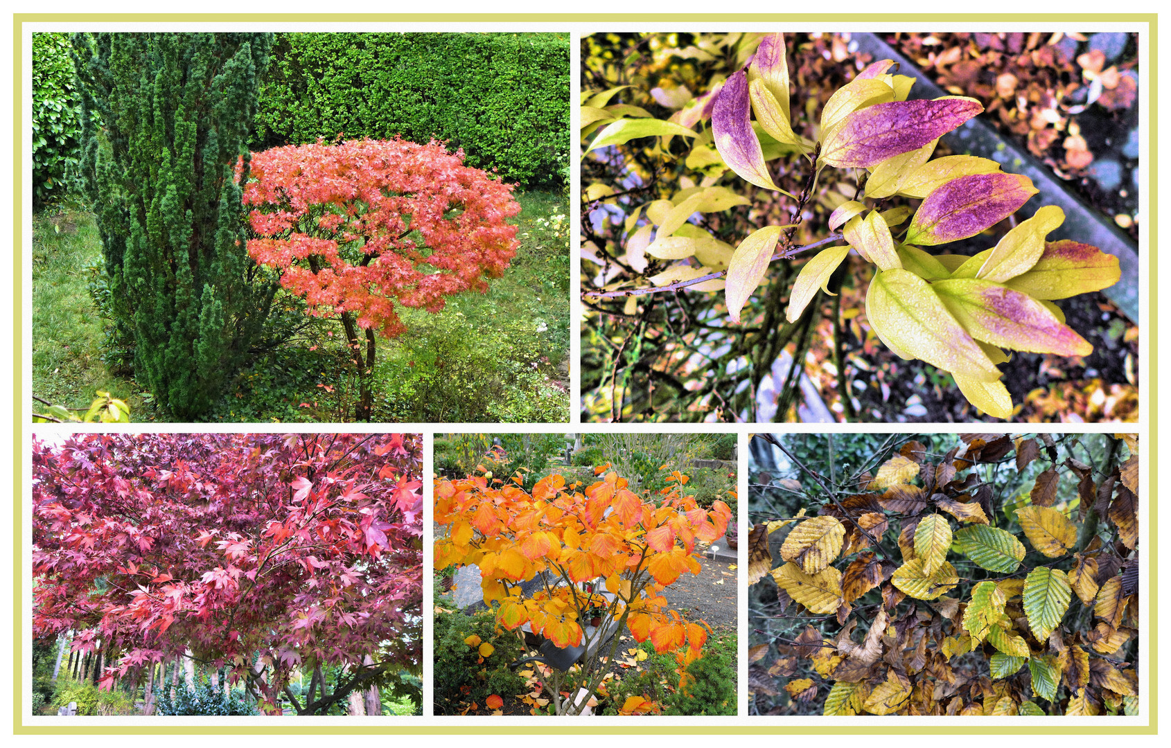 Farbenkünstler Herbst