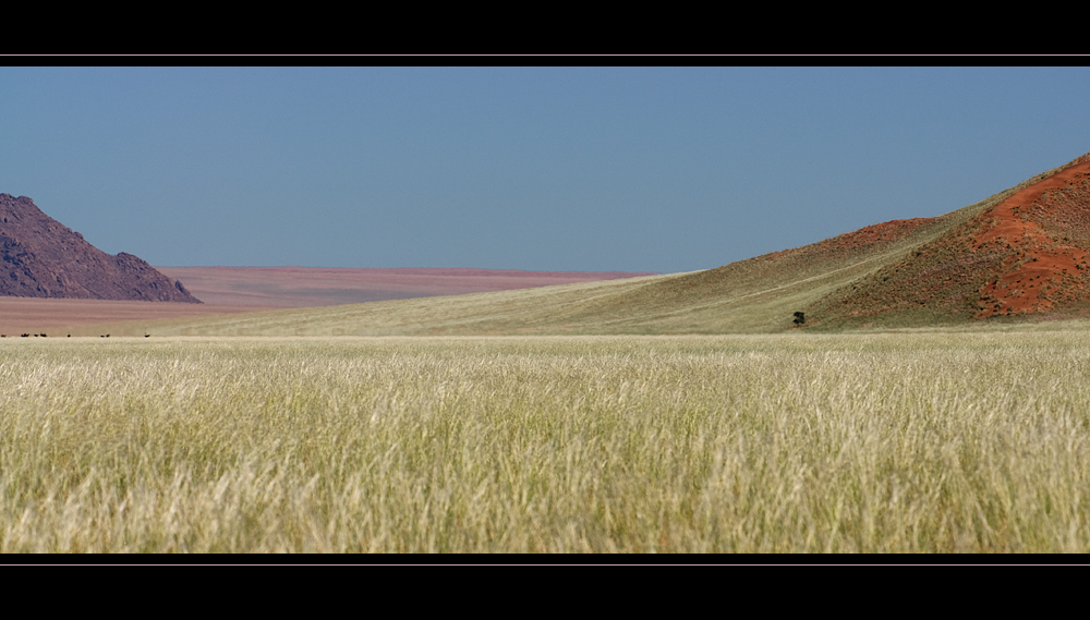 Farbenpanorama