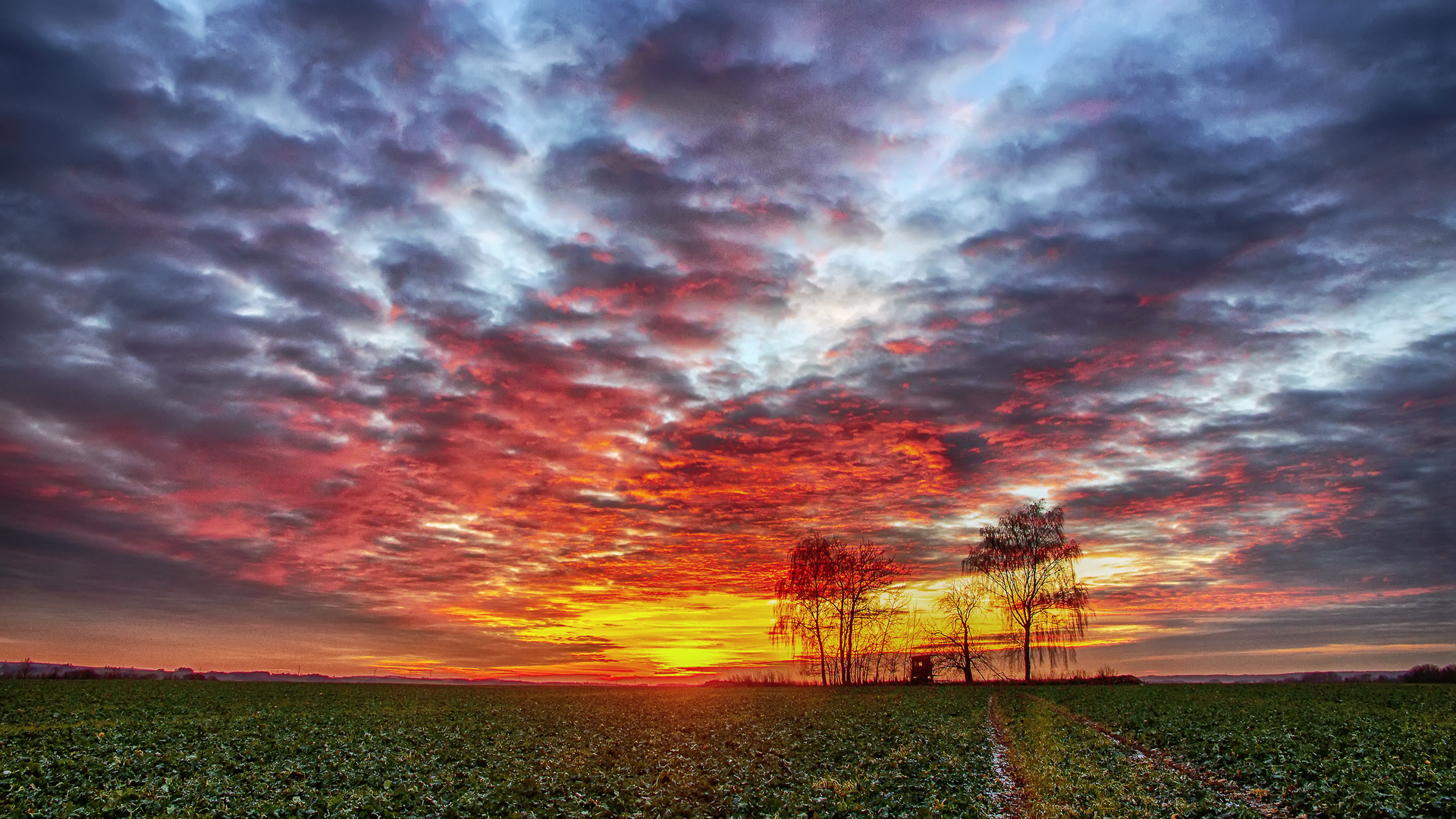 Farbenpracht am Abendhimmel