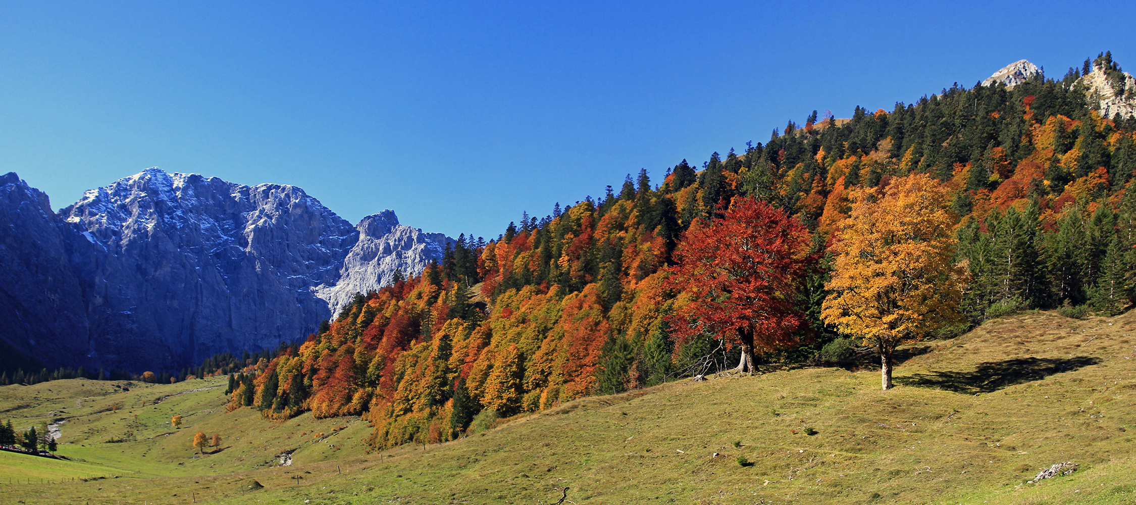 Farbenpracht am Großen Ahornboden!