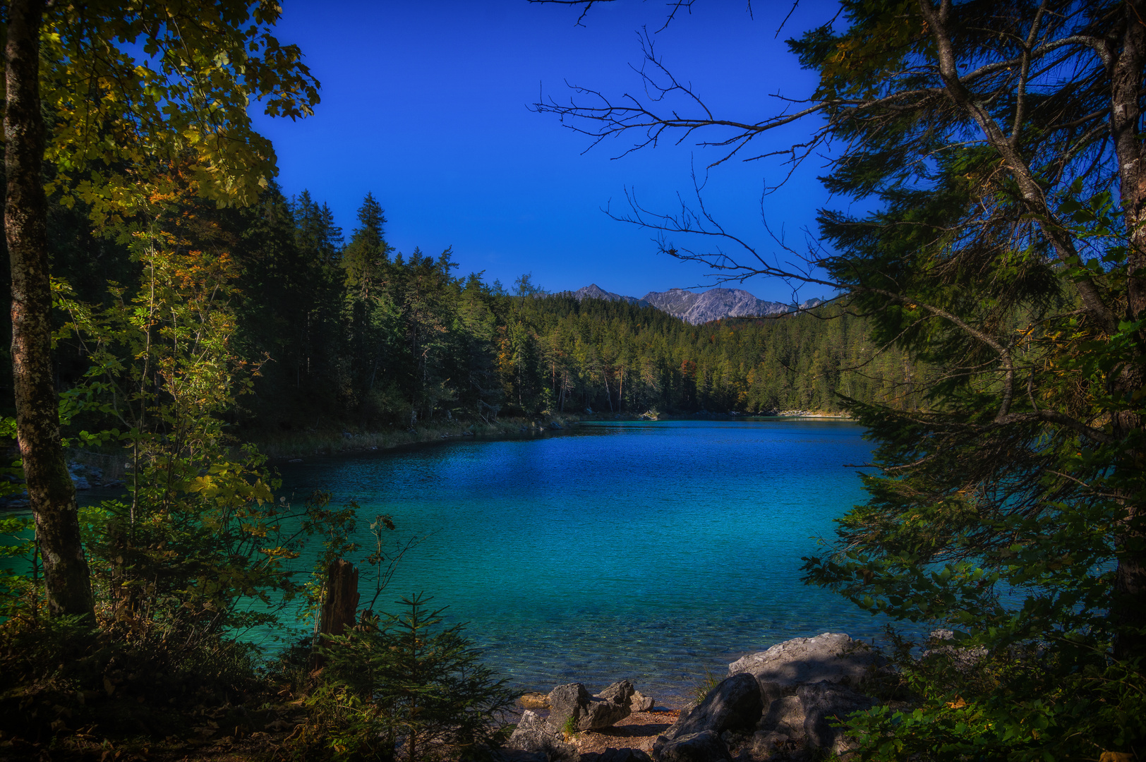 ...Farbenpracht am herbstlichen Untersee...